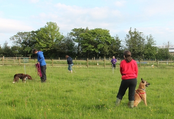Homepage for Churnet Valley Dog Training in Staffordshire ...