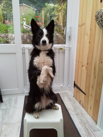 Mia on stool